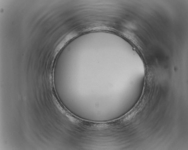 X0000068901282200605122050