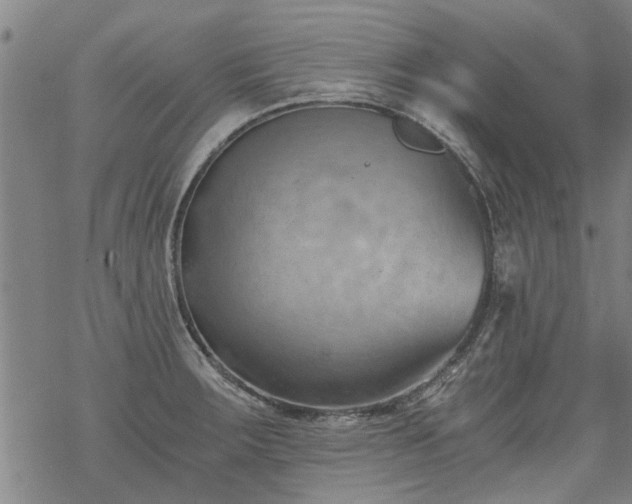 X0000068901283200605122050