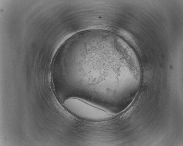 X0000068901284200605122050