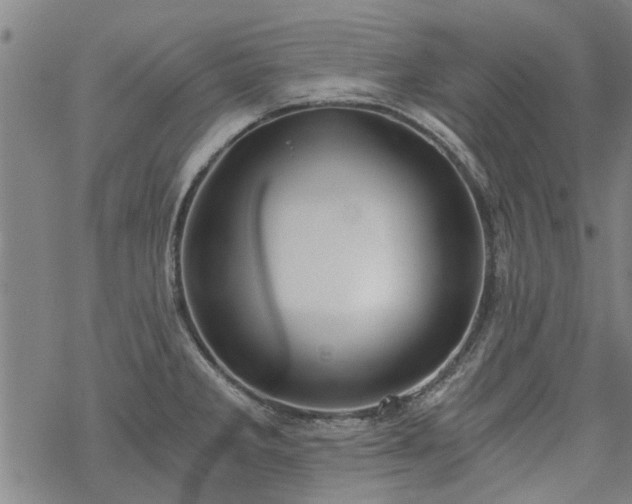 X0000068901285200605122050