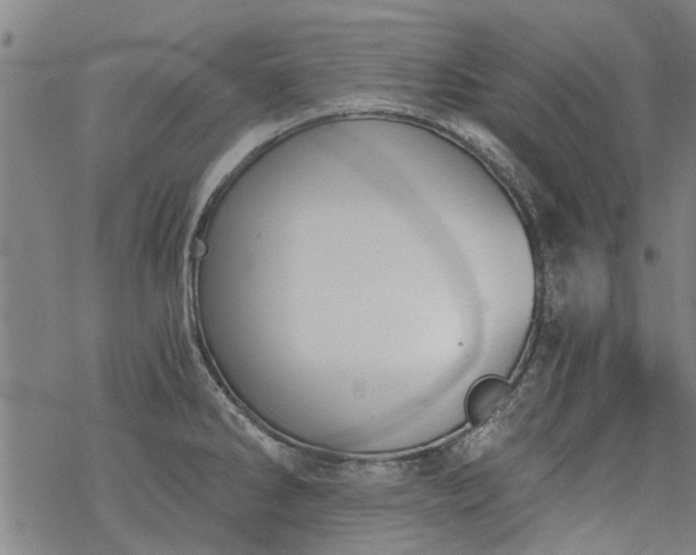 X0000068901286200605122050