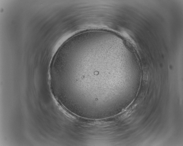 X0000068901287200605122050