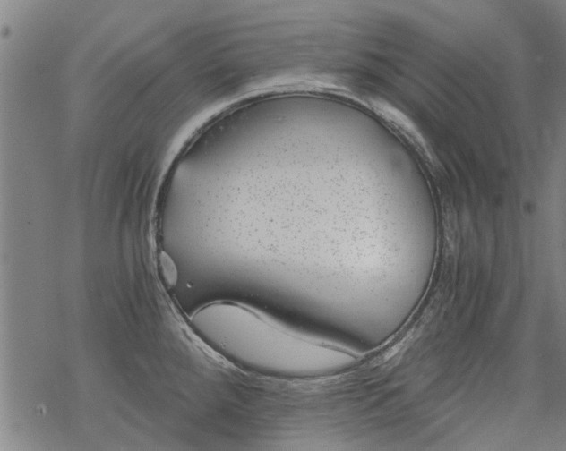 X0000068901288200605122050