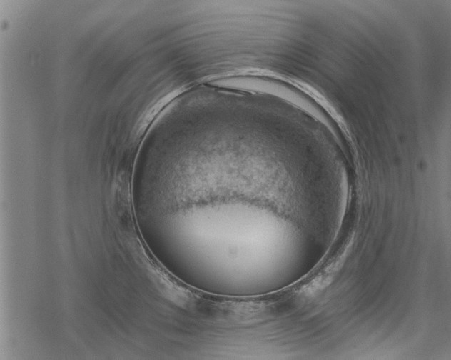 X0000068901289200605122050