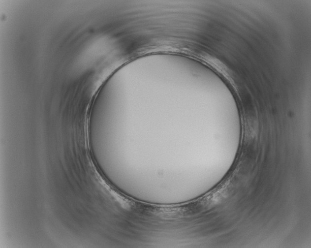 X0000068901290200605122050