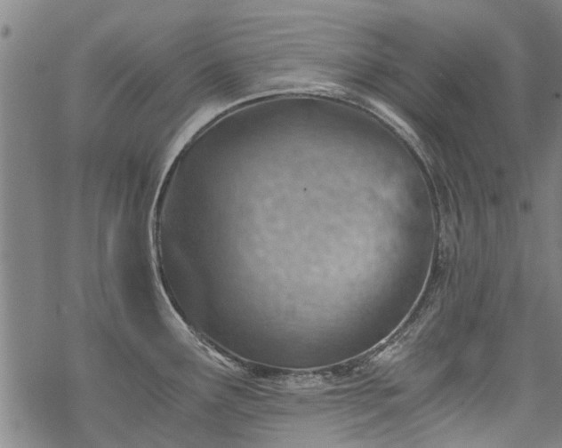 X0000068901291200605122050