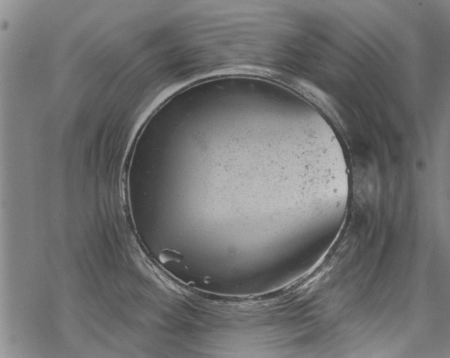 X0000068901292200605122050