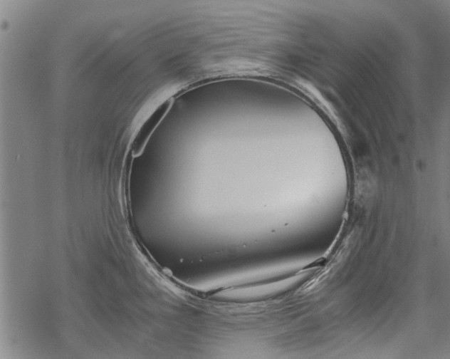 X0000068901293200605122050