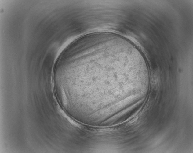 X0000068901294200605122050