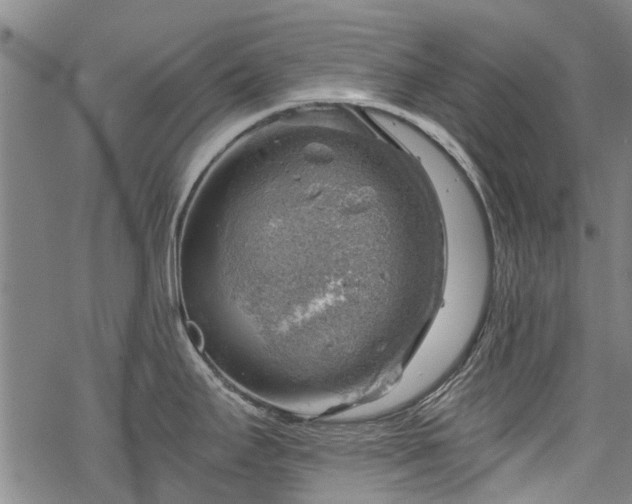 X0000068901295200605122050