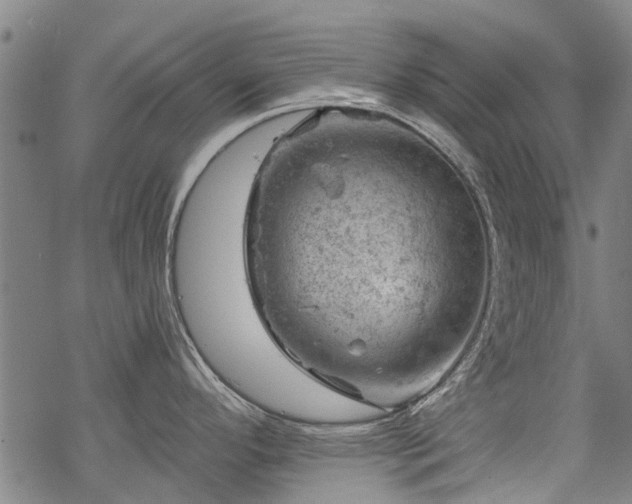 X0000068901296200605122050