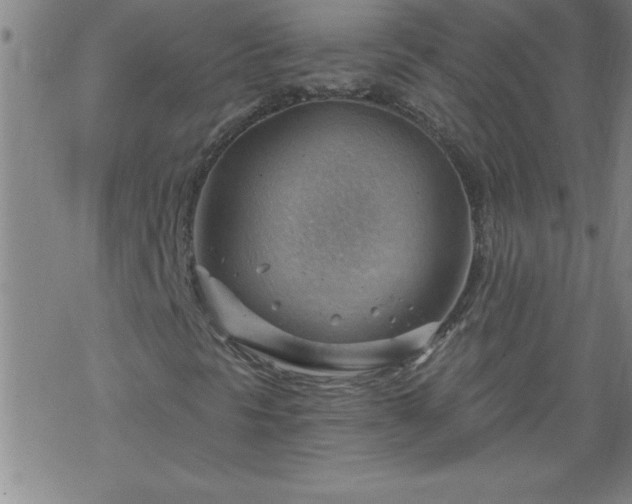 X0000068901297200605122049