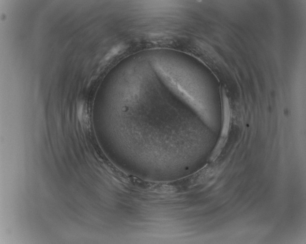 X0000068901298200605122049