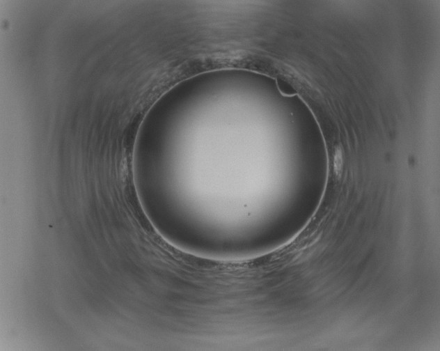 X0000068901299200605122049