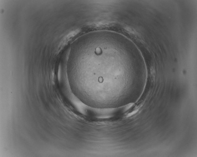 X0000068901300200605122049