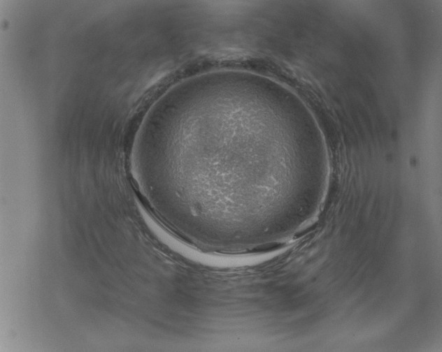 X0000068901301200605122049