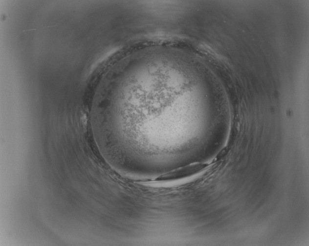 X0000068901302200605122049