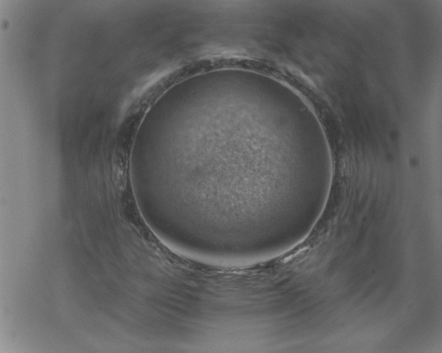 X0000068901303200605122049