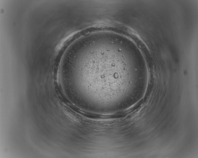 X0000068901304200605122049