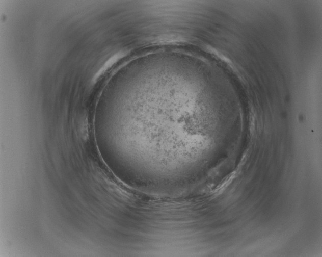 X0000068901306200605122049