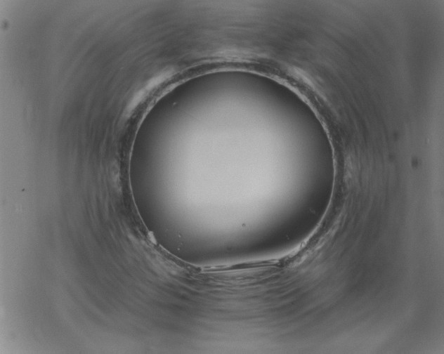 X0000068901307200605122050