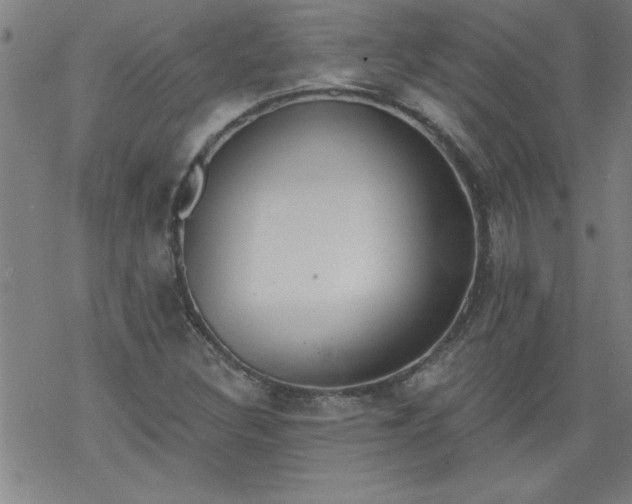 X0000068901308200605122050