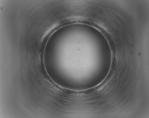 X0000068901309200605122050