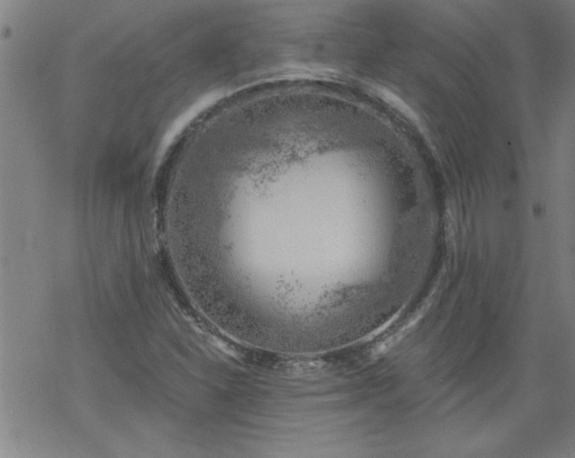 X0000068901310200605122050