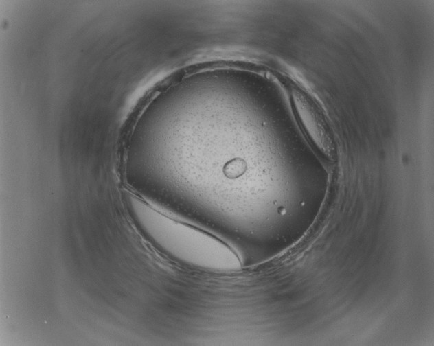 X0000068901312200605122050