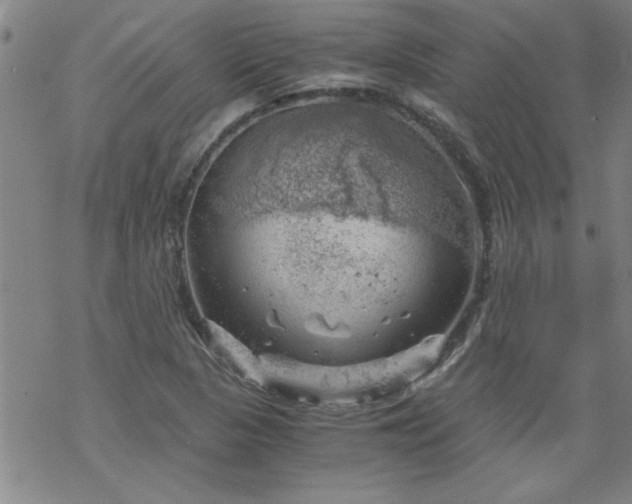 X0000068901313200605122050