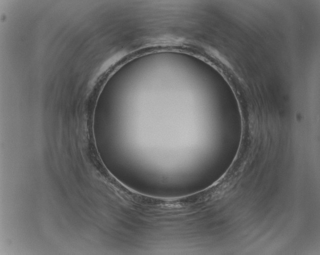 X0000068901315200605122050