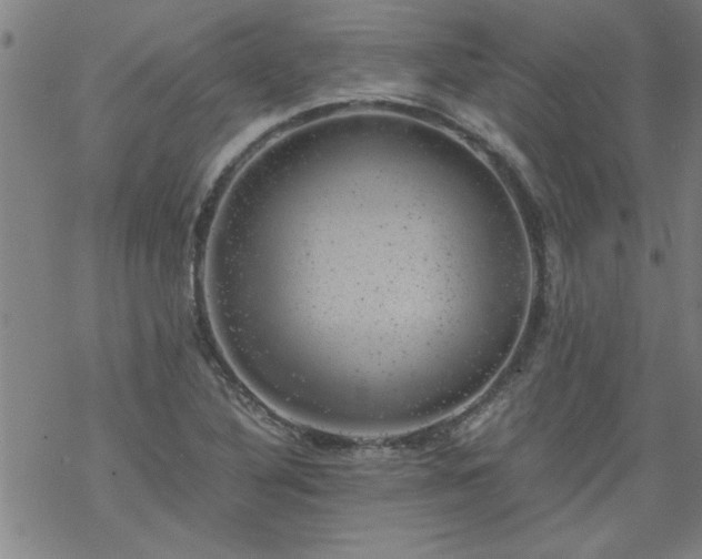 X0000068901316200605122050