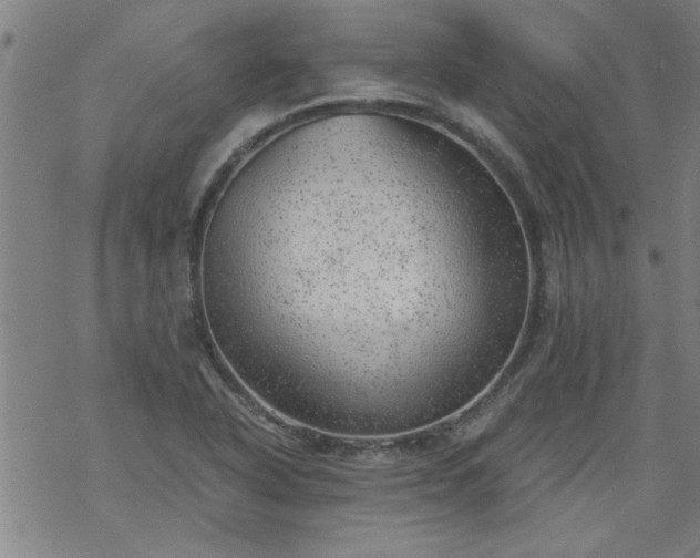 X0000068901318200605122050