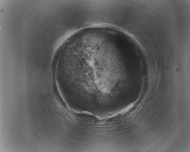 X0000068901319200605122050