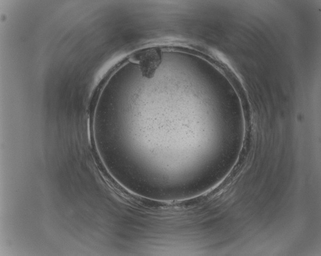 X0000068901320200605122050