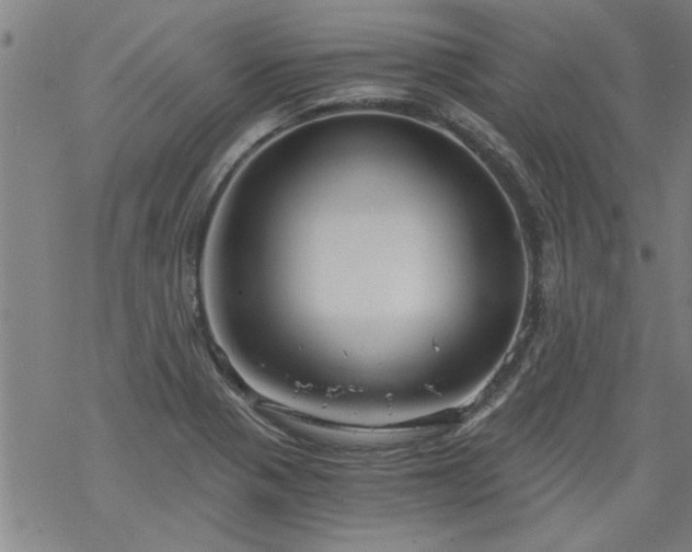 X0000068901321200605122050