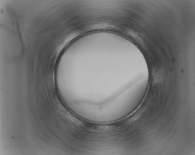 X0000068901322200605122050