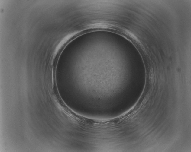 X0000068901323200605122050