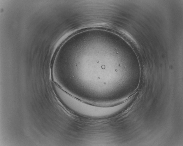 X0000068901324200605122050