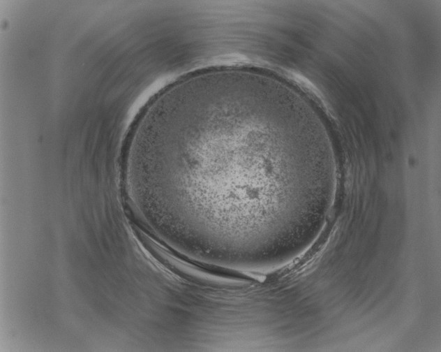 X0000068901326200605122050