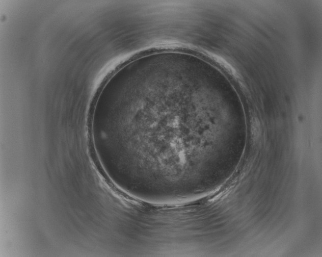 X0000068901327200605122050