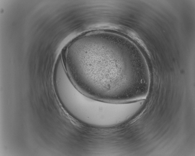 X0000068901328200605122050