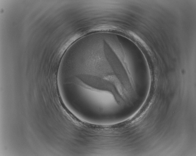 X0000068901329200605122050