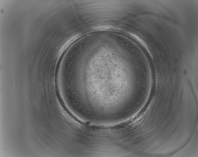 X0000068901330200605122050