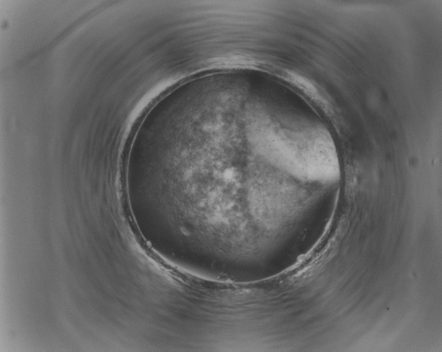 X0000068901331200605122050