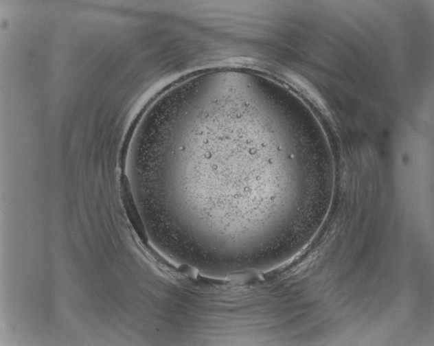 X0000068901332200605122050