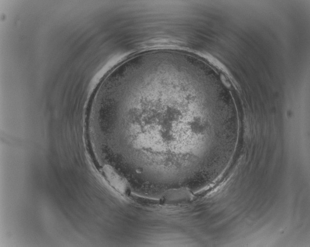 X0000068901333200605122050