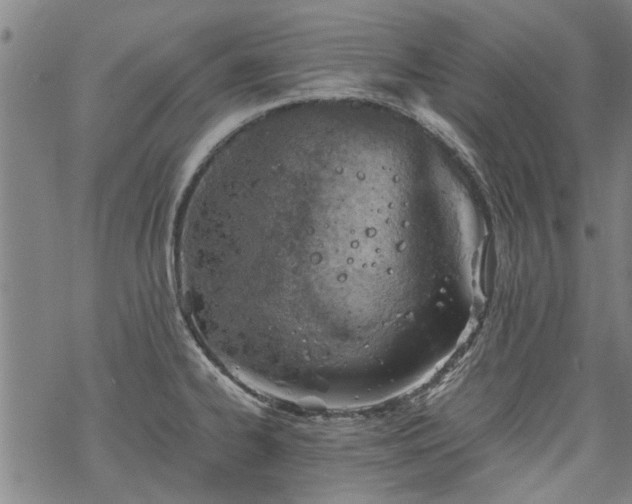 X0000068901334200605122050