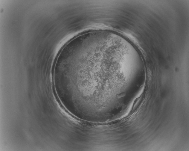 X0000068901335200605122050