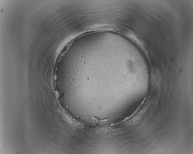 X0000068901336200605122050